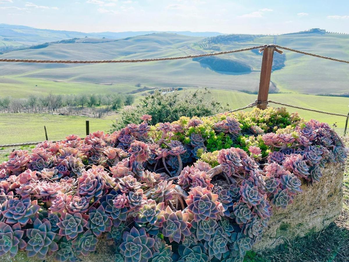 Poggiosalto In Toscana Pienza Buitenkant foto