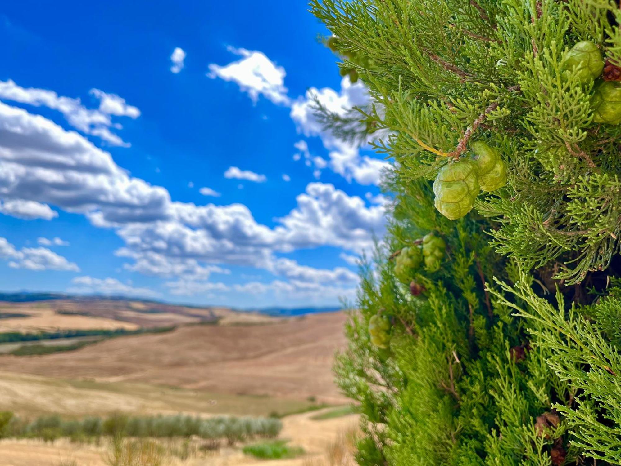 Poggiosalto In Toscana Pienza Buitenkant foto